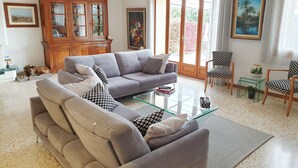 Un salon avec un canapé gris, des coussins à motifs, une table basse en verre et un meuble en bois.