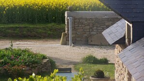 Un paisaje rural con un campo de flores amarillas, un muro de piedra y un edificio con techo inclinado.