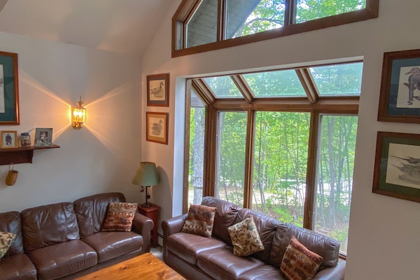 TV connectée, cheminée, livres, chaîne hi-fi