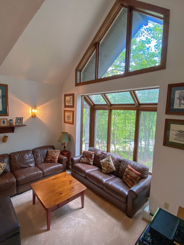 Smart TV, fireplace, books, stereo