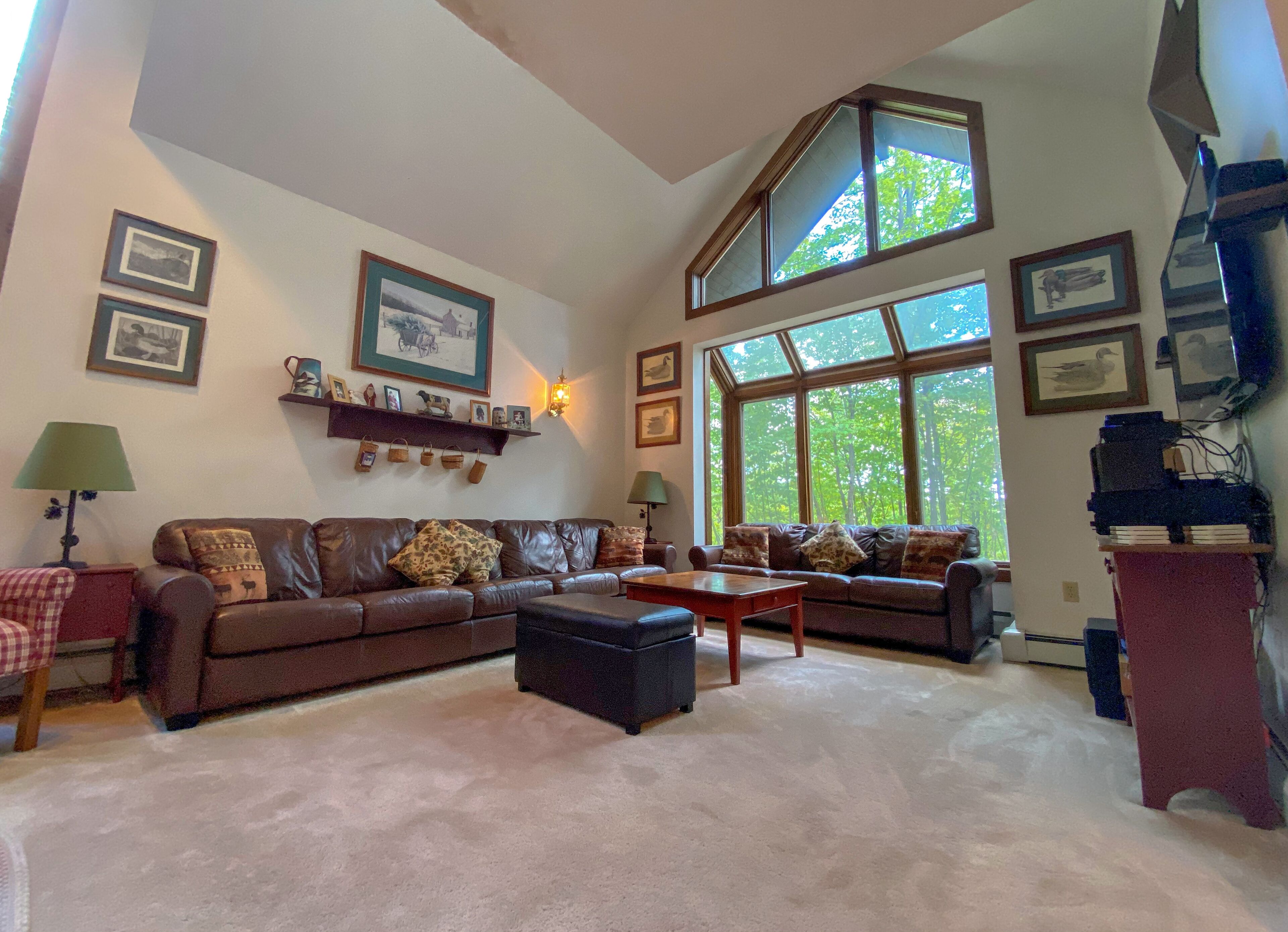 Smart TV, fireplace, books, stereo