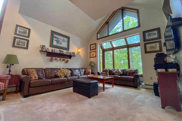 Smart TV, fireplace, books, stereo