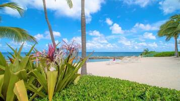 Accommodatie ligt op het strand