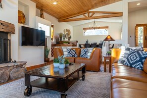 Smart TV, fireplace, DVD player, books