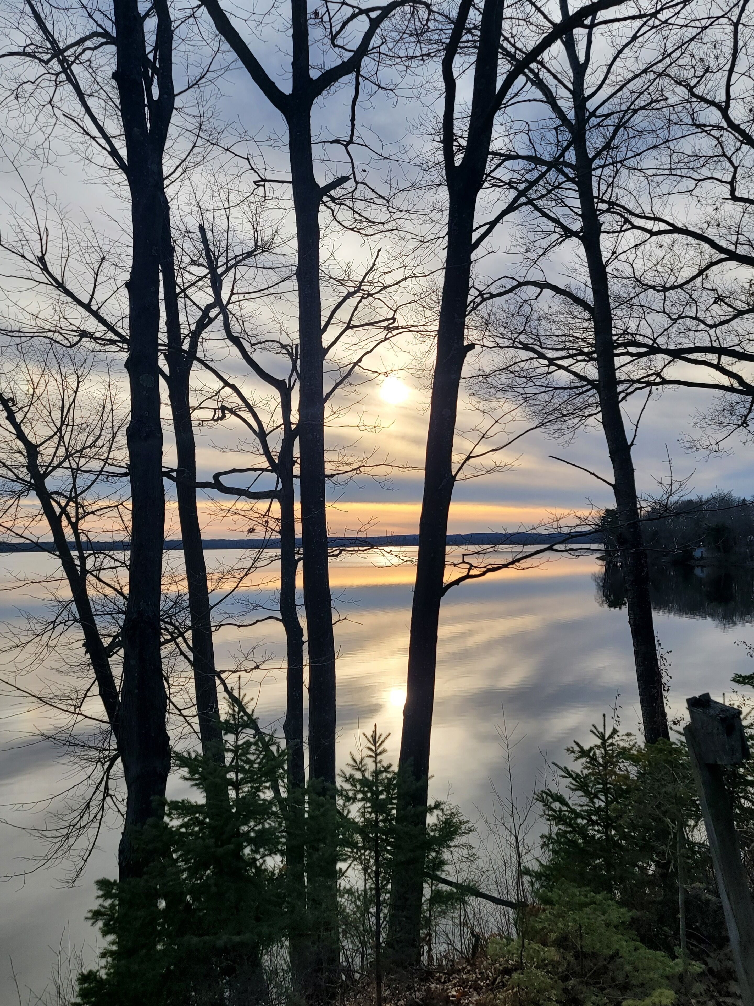 A serene lakeside view with tall trees and a calm water surface reflecting the sky.