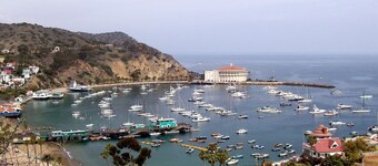 Catalina Island Dream Homes back house