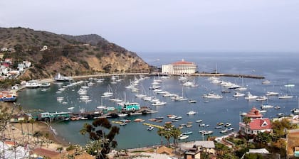 Catalina Island Dream Homes takahuone