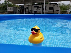 A yellow rubber duck in a blue pool with a camper RV in the background. - El Camper, carretera hacia Combate, Cabo Rojo (Cabo Rojo)