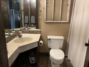 Combined shower/bathtub, hair dryer, towels, soap