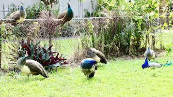 Overnattingsstedets uteområder