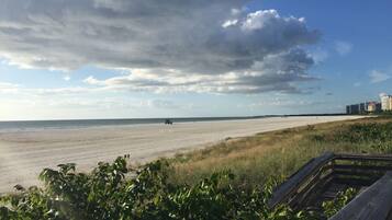Chaises longues, serviettes de plage