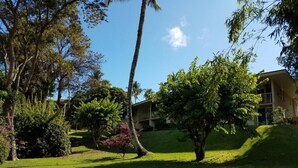 A well-maintained grassy area with trees and a building in the background. - SEPTEMBER VALUE Last minute cancelation! A/C, Ocean Views Near Keawakapu Beach! (Kihei)