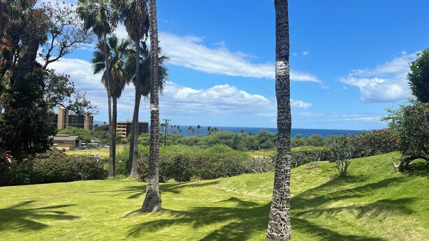 A grassy area with palm trees and a view of the ocean. - SEPTEMBER VALUE Last minute cancelation! A/C, Ocean Views Near Keawakapu Beach! (Kihei)