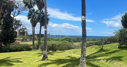 SUMMER DISCOUNTS! A/C with Ocean & Sunset Views! Walk to Keawakapu Beach!