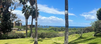 SUMMER DISCOUNTS! A/C with Ocean & Sunset Views! Walk to Keawakapu Beach!