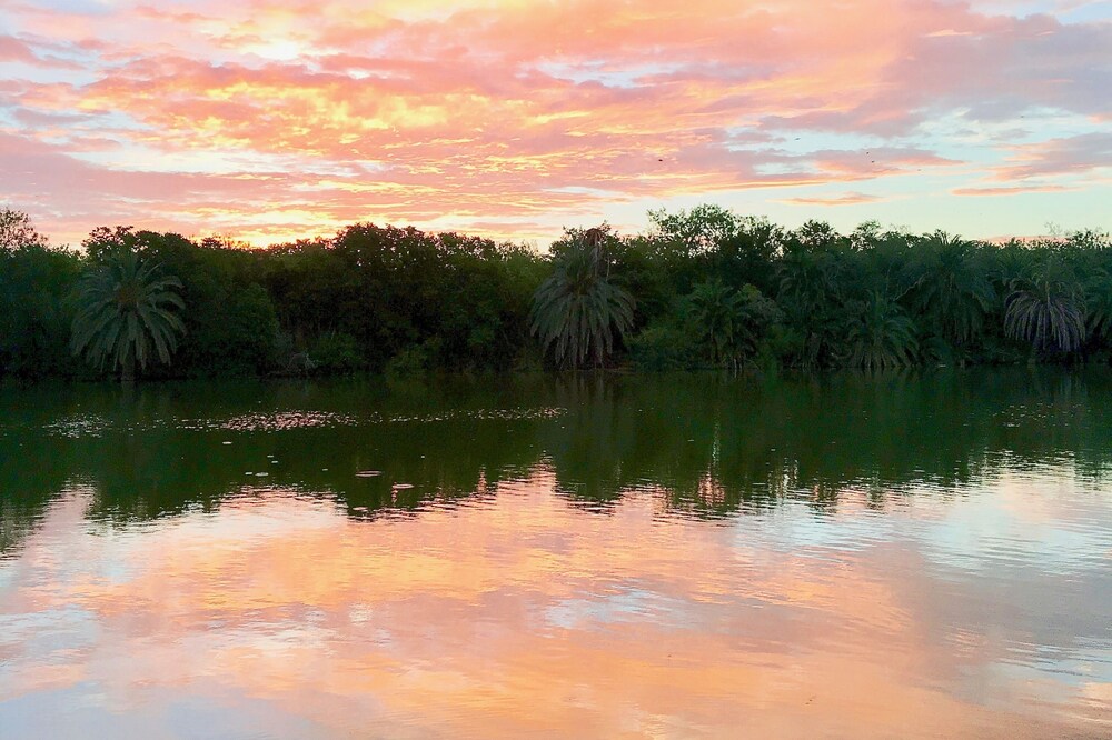 On the Water! Birdwatching in Progreso Lakes!