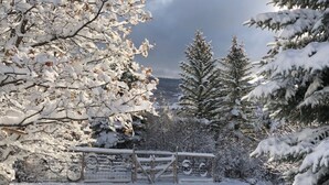 Un paysage enneigé avec une clôture en bois et un vélo appuyé contre celle-ci.