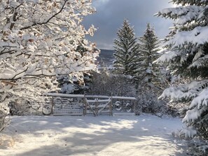 Property grounds - Panoramic Views of Elk Range & Sopris Mountain + Hot Tub and Beautiful Views! (Carbondale)