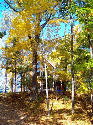 Exterior - SANDY FRONTAGE! Kayaks! POOL TABLE! Paddle Boards! (Honor)