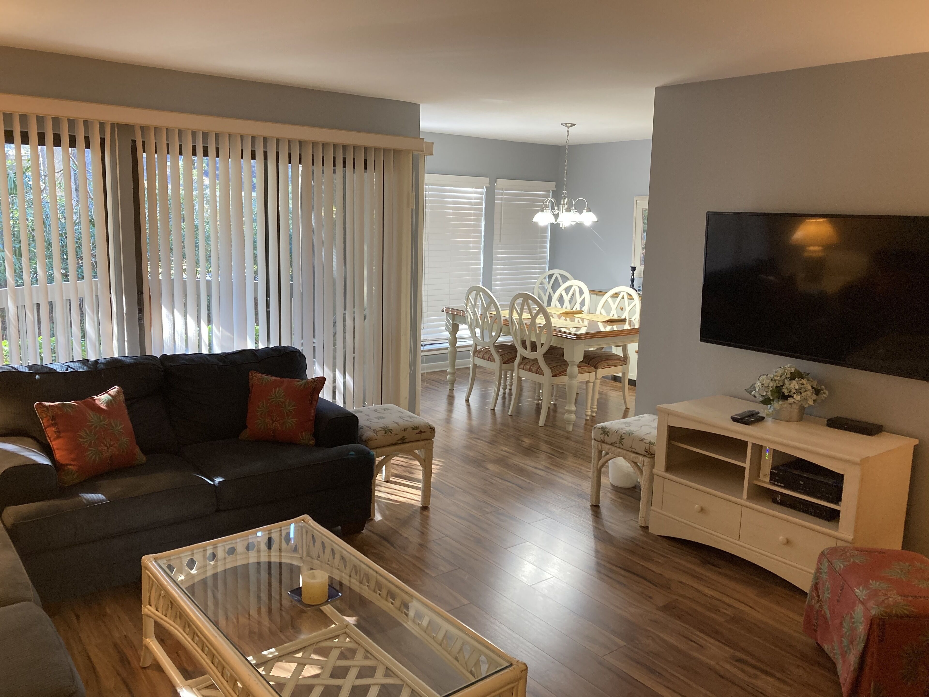 TV, DVD player, books, video library