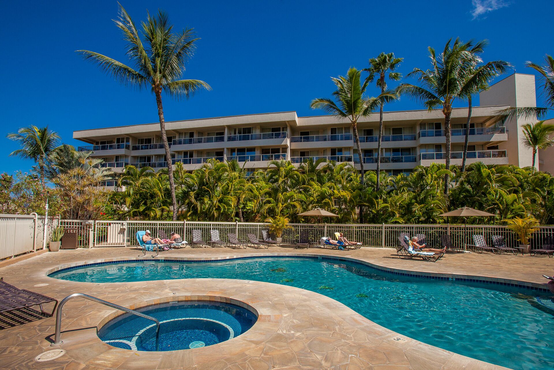 Ein Hotelpoolbereich mit Whirlpool, Liegestühlen und Palmen.