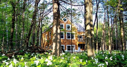 SKI NUBS & BOYNE! Waterfront! OVERLOOKING LAKE MICH! Pool Table, PS2! SUNSETS!