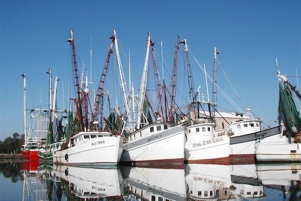 Just one block from the scenic shrimp boat fleet and great seafood markets