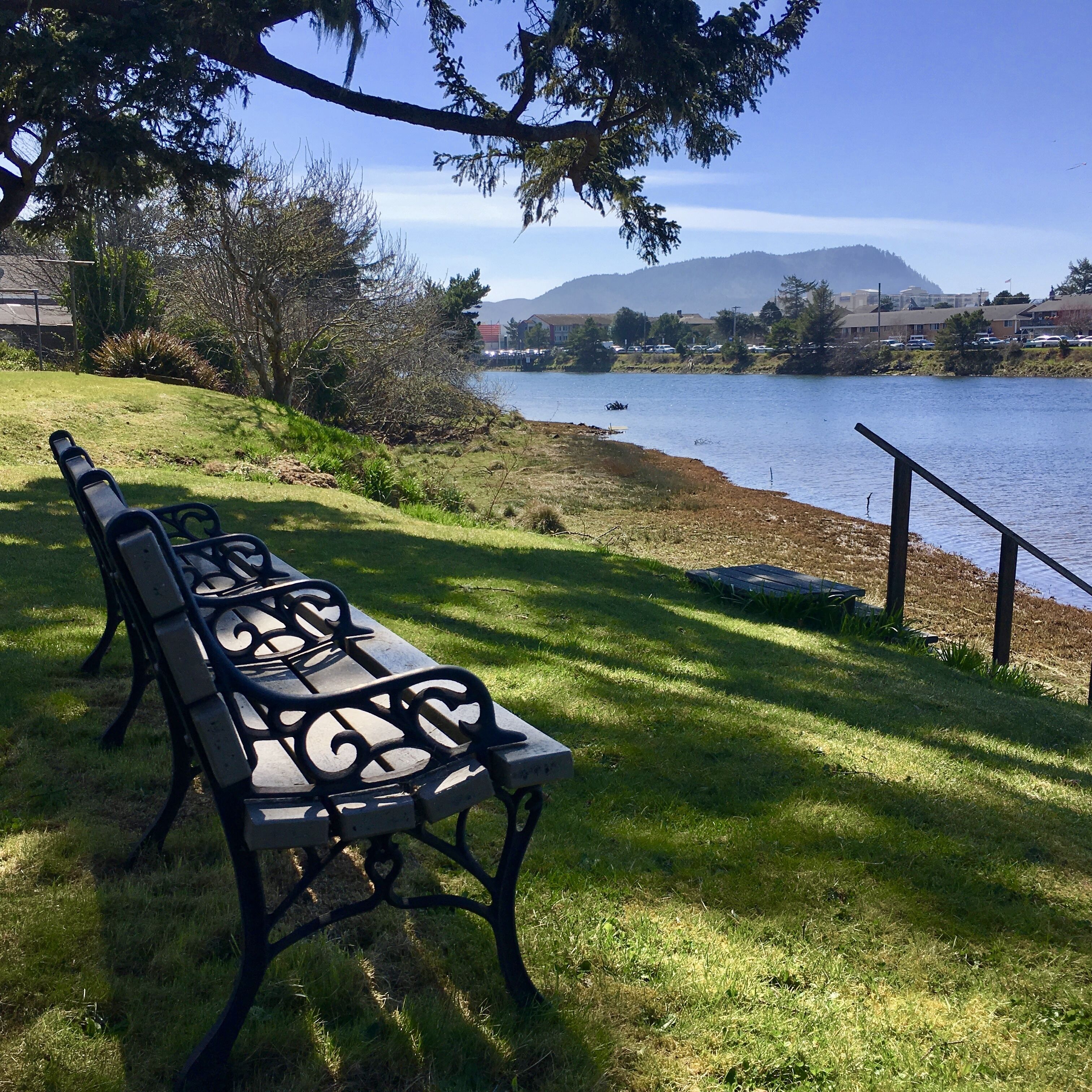 A bench by a lakeside with a view of a distant mountain and buildings.