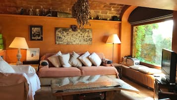 Smart TV, chimenea y estéreo