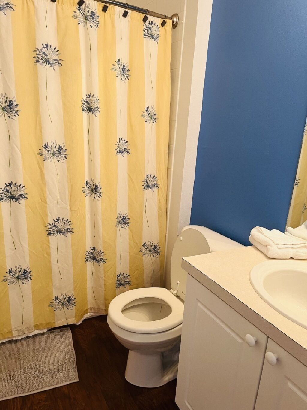 A bathroom with a toilet, a sink, and a shower curtain with a floral pattern.