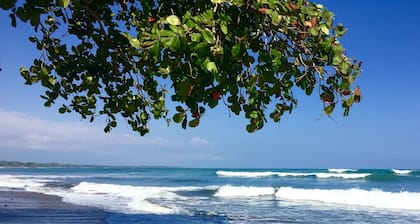 Costa Rican life! Beautiful oceanfront with pool!