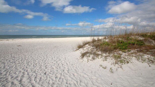 A sandy beach with dunes and sparse vegetation.
