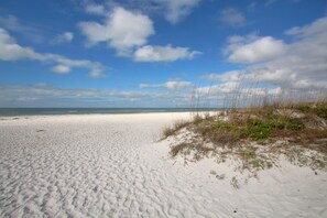 Una playa arenosa con dunas y vegetación escasa.