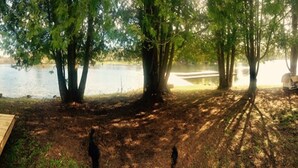 Un terrain de camping au bord du lac, avec des arbres et une terrasse en bois.
