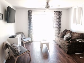 Télévision, cheminée, lecteur de DVD, livres