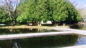 Une piscine dotée d’une terrasse en bois, entourée d’arbres et bordée d’un petit étang.