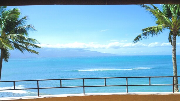 Vista de una playa con palmeras y una barandilla.