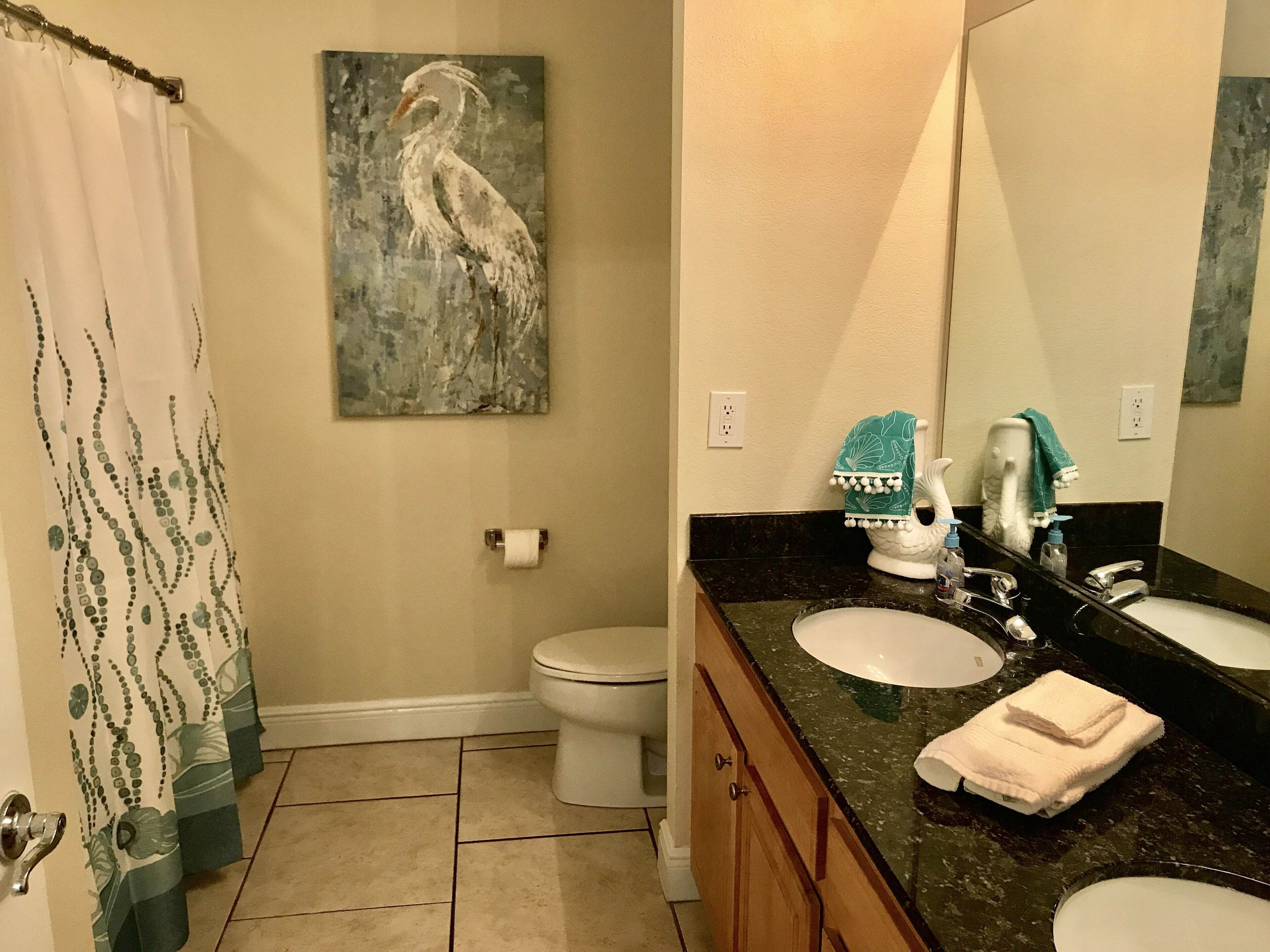 NEW LOWER RATES.   Direct Ocean View