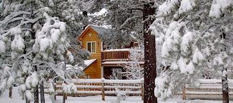 Vallecito Lake Cabin ----