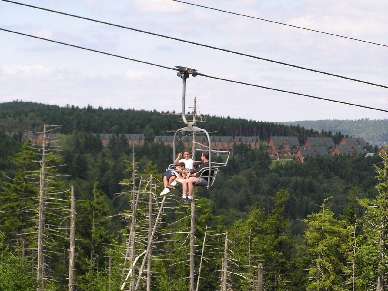 Un teleférico con pasajeros en un área boscosa.