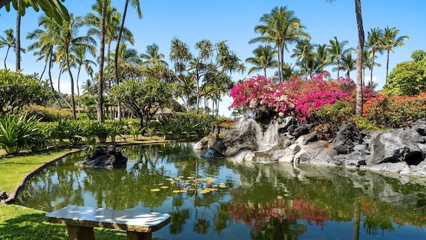 A serene garden with a pond, palm trees, and a bench. - 🏖️Upgraded Waikoloa Condo w/ Central A/C & Lanai (Waikoloa)