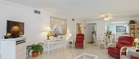 Smart TV, DVD player, books, video library