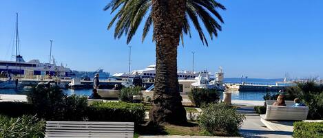A palm tree-lined promenade with a bench and a view of boats in the background.