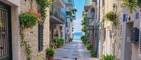 Eine schmale Gasse mit Häusern an beiden Seiten, Blumentöpfen und einem Hund im Vordergrund.