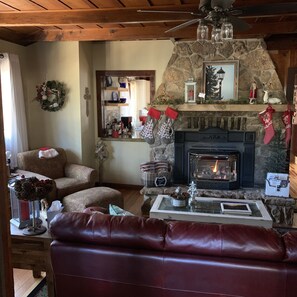 TV, caminetto, lettore DVD, libri