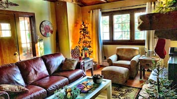 Télévision, cheminée, lecteur de DVD, livres