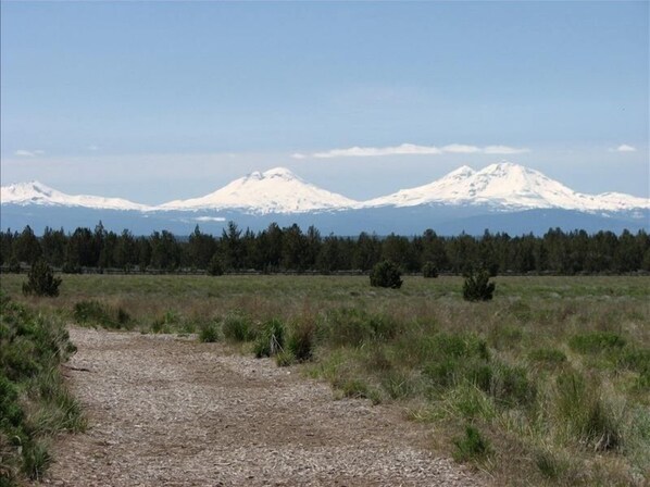 A gravel path leading to a forested area with snow-capped mountains in the background.