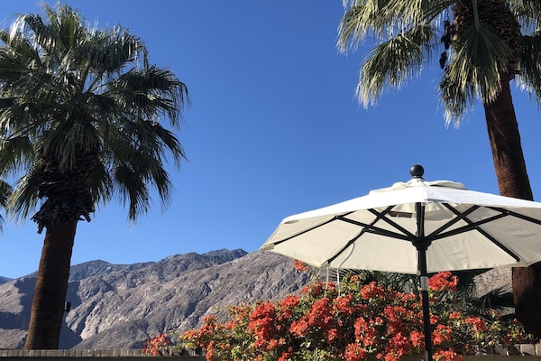 テラス / パティオ