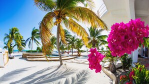 A resort pool area with palm trees, a clear sky, and a view of the ocean. - Casual & Comfortable Belize Beach House: Private Pool, Dock, & Secluded Privacy
 (San Pedro)