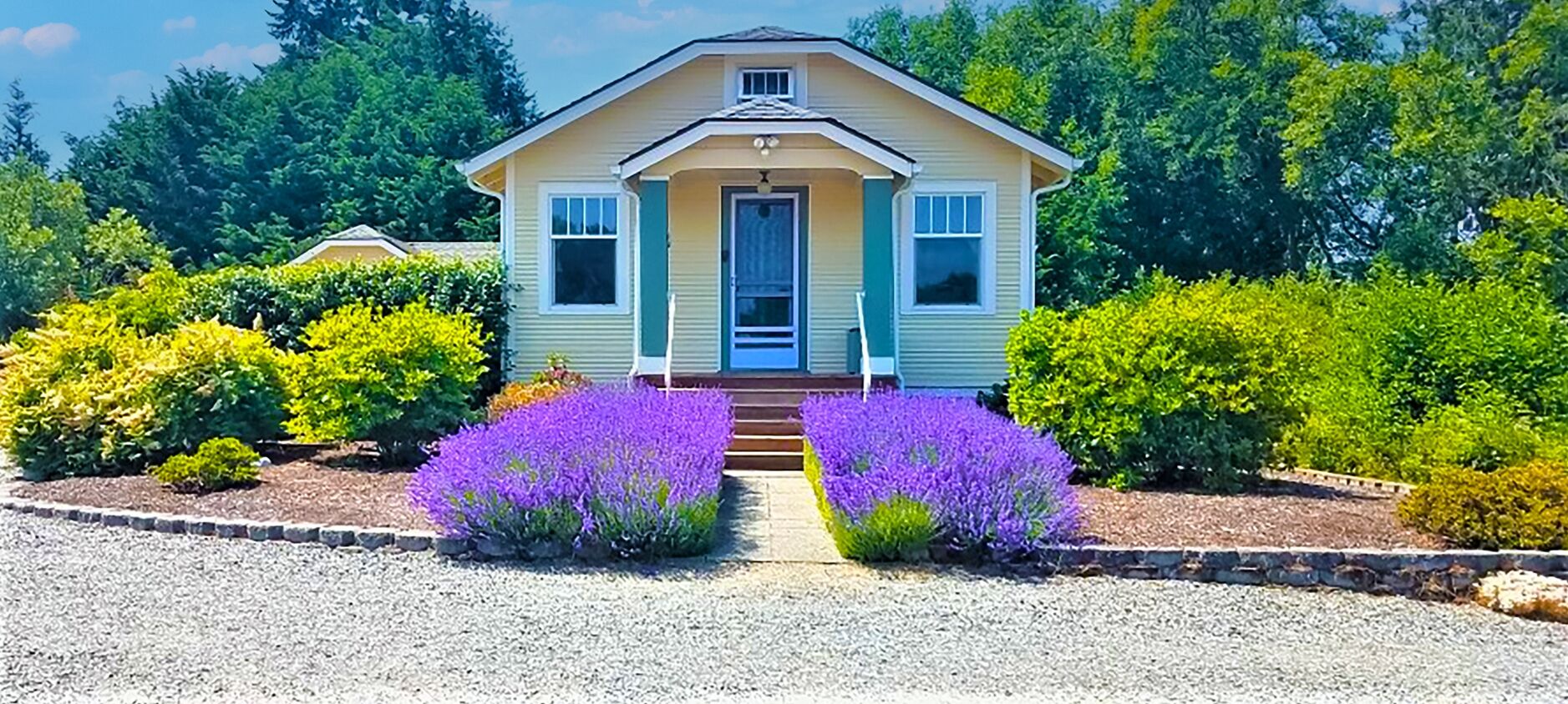 ChienNoir: House on Five Acres, Olympic Mountain Views, Pet Friendly